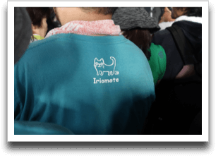 �ʔ��������s�V���c���̂P