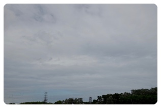 ����ς�_�����߂Ɍ���