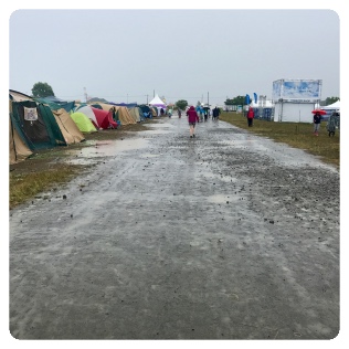 �J�~�������Ƃ̃R�[���}���E�R�����r�A�E�G