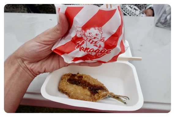 �J���[�Q�ƃC���V�̃t���C