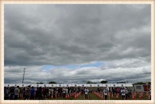 テントサイト交換所