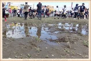 ちょっと大きめの水たまり