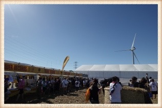 まさか、今年タワレコカフェに寄らないとは！