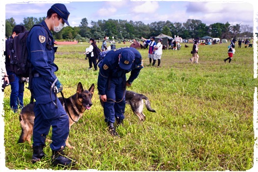 カッチョいい警察ドッグさん