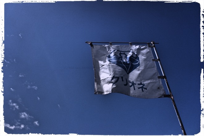 なんだかカッチョいいクリオネ