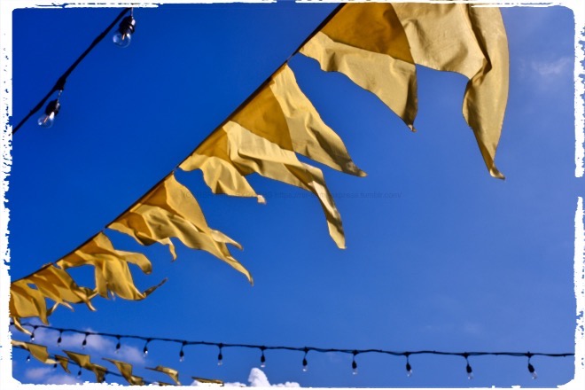 こんなに晴天だしさ