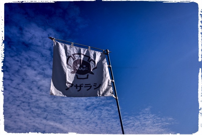 青空にアザラシ！