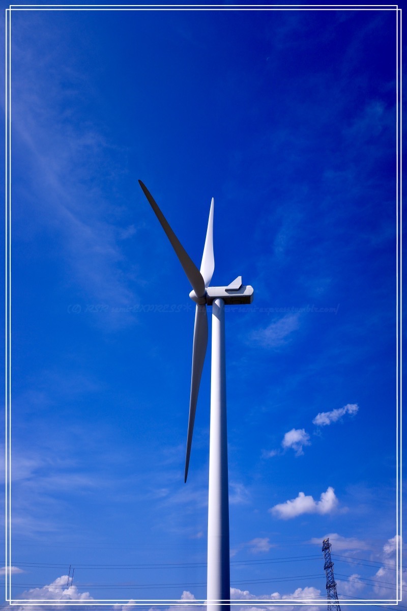 縦に撮った風車