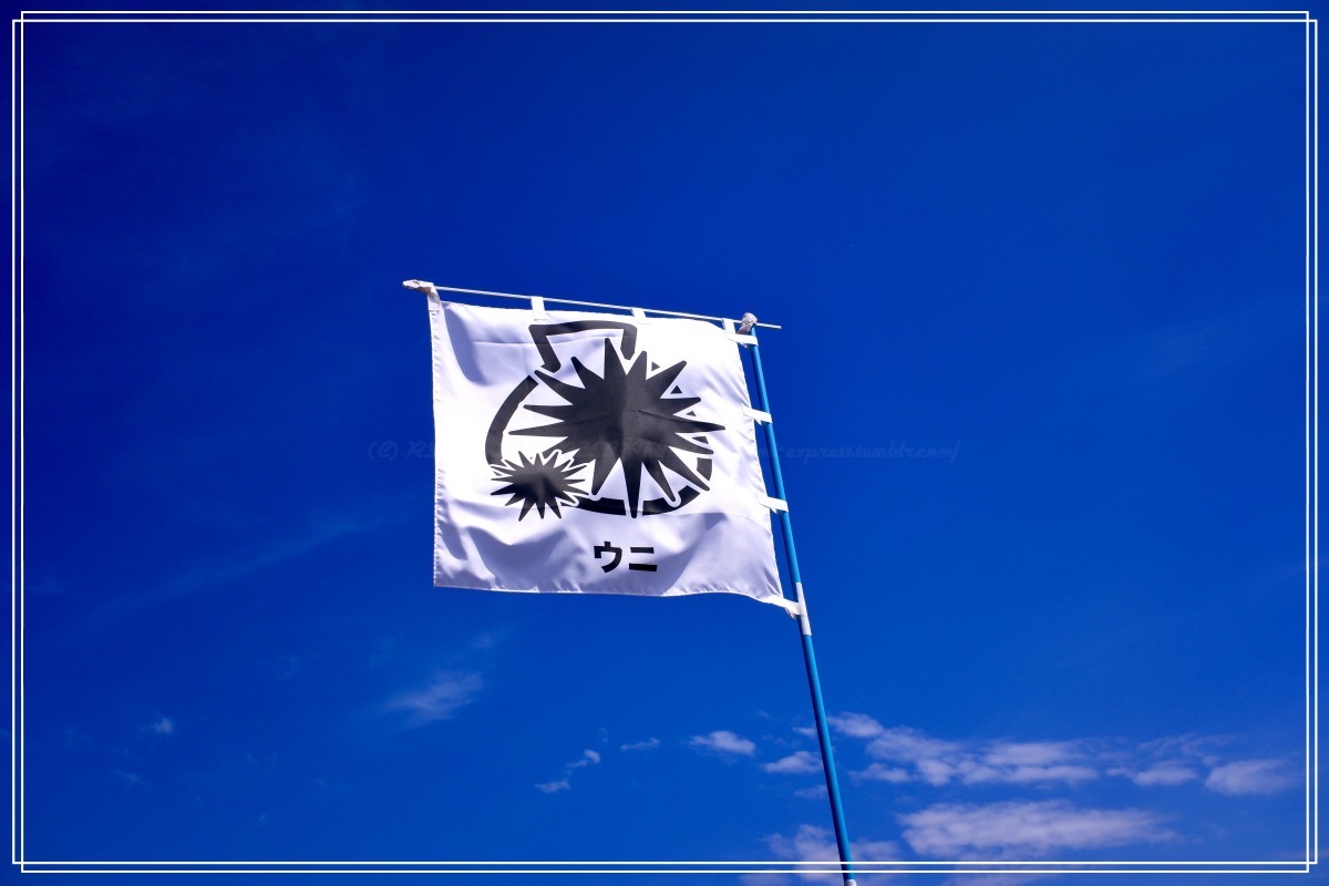 青空に映えるウニ