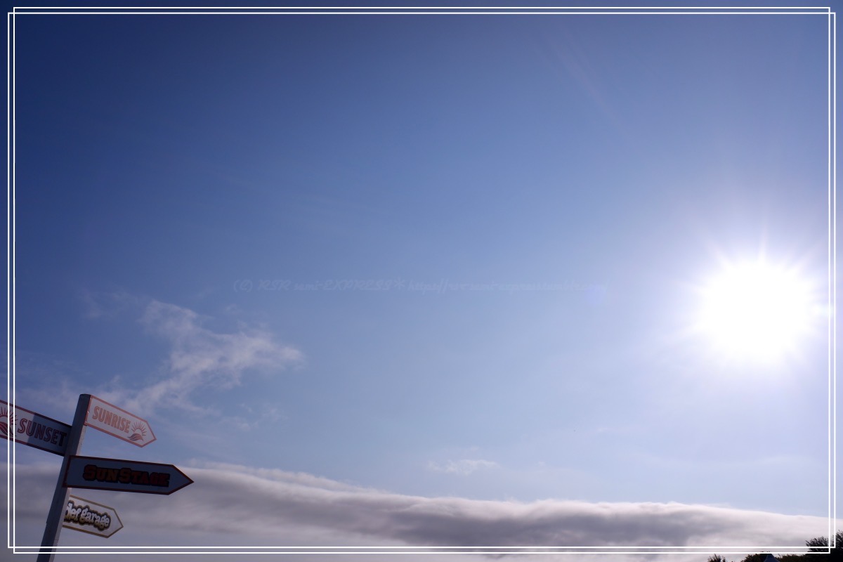 編集の結果、この写真超良くないか？