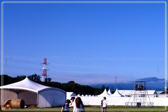 翌日朝の写真の拡大だけども