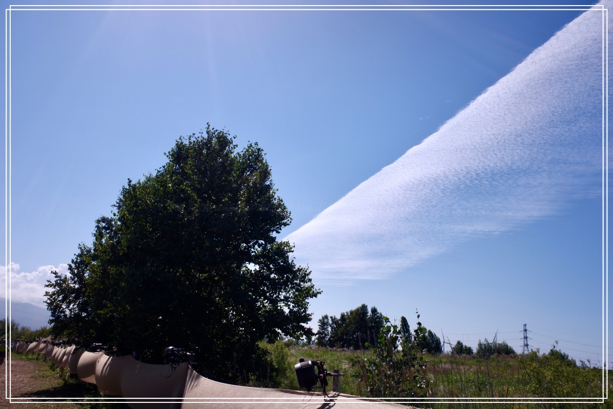 まるで気に翼が生えたかのよう