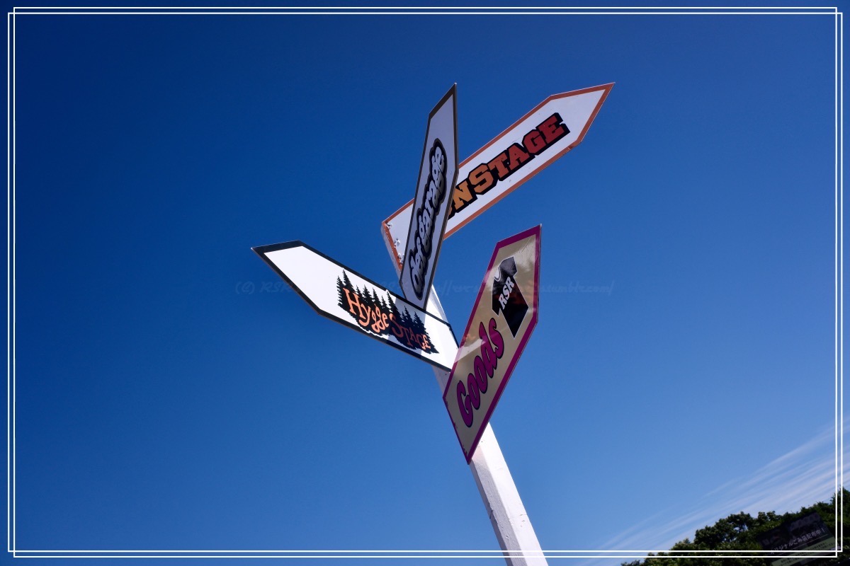 何処でも好きなところに行っていいんだよ