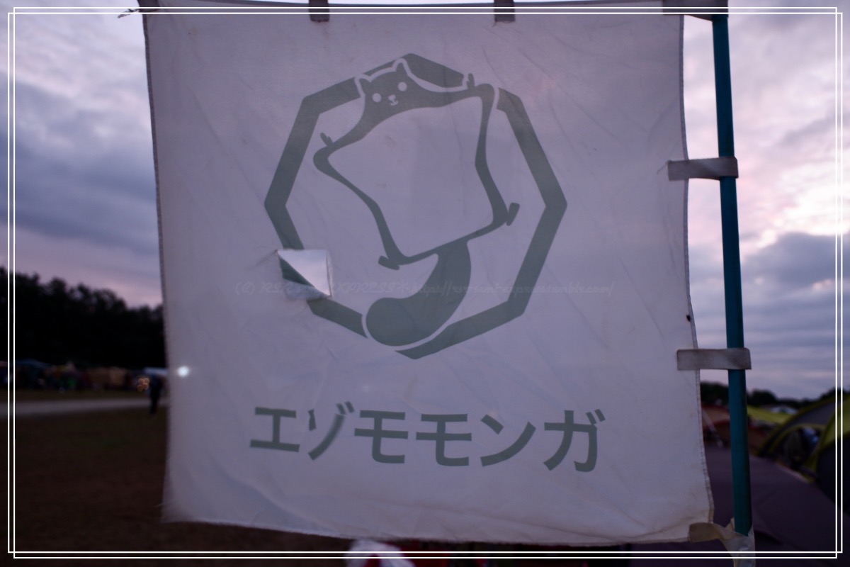 ヤケに低い位置にいて、穴まであいてたエゾモモンガ