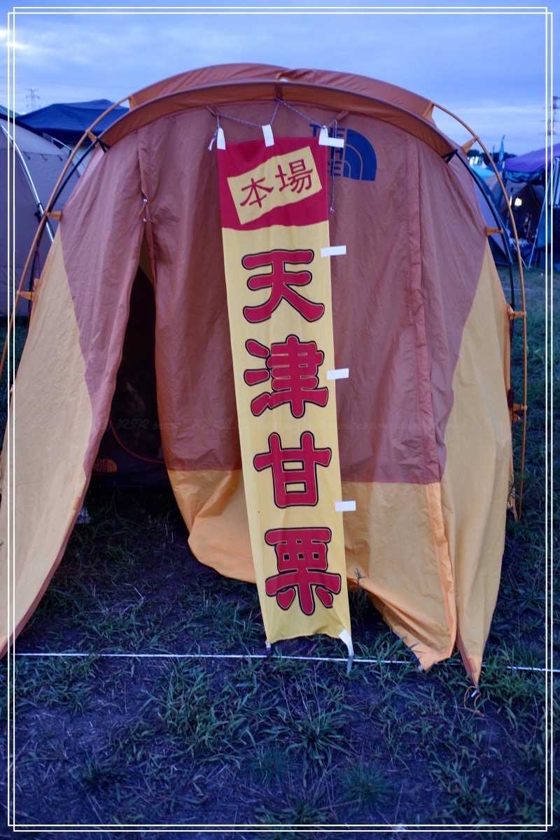 今さらこんな時間にこんなの見つけて、そりゃ、写真撮るよね