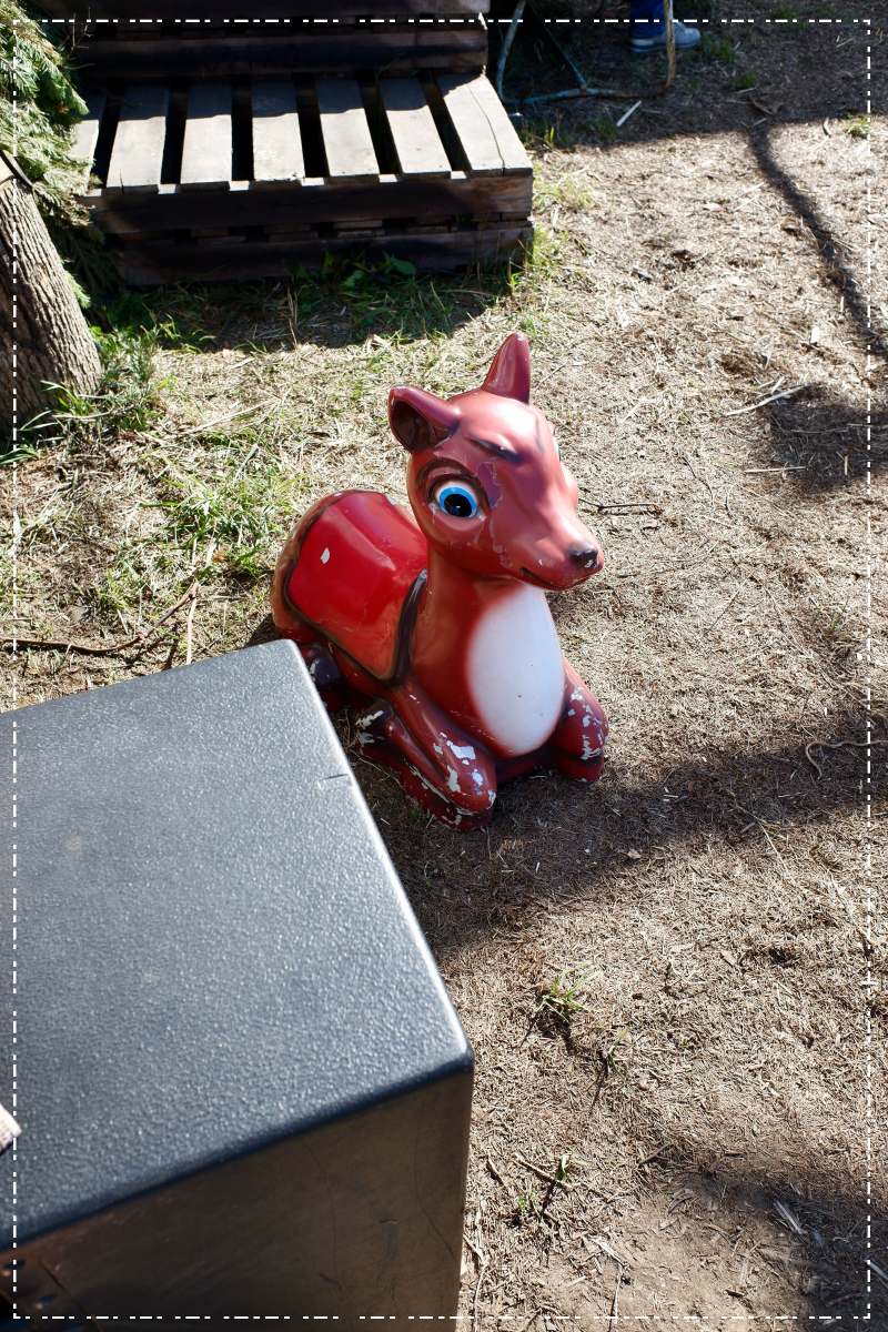 おっちゃんこした鹿