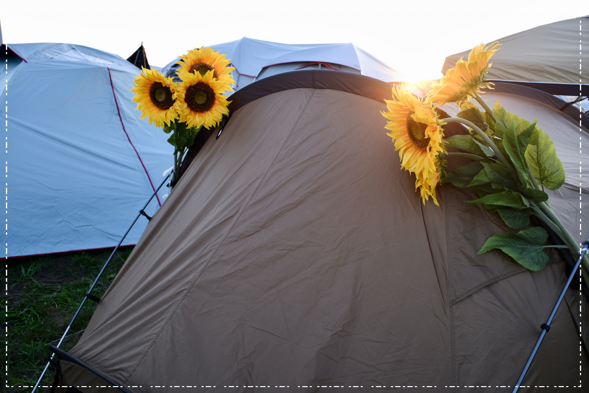 テントに戻る時の目印だった向日葵