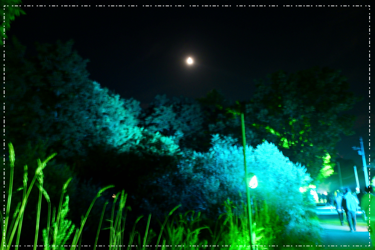 BOHEMIANへ向かう夜道その２