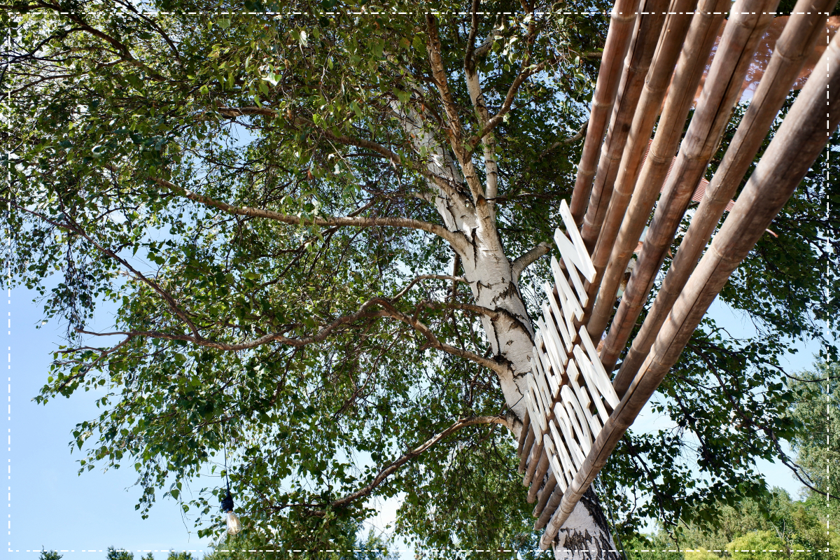 寄りで撮ったBOHEMIANの看板