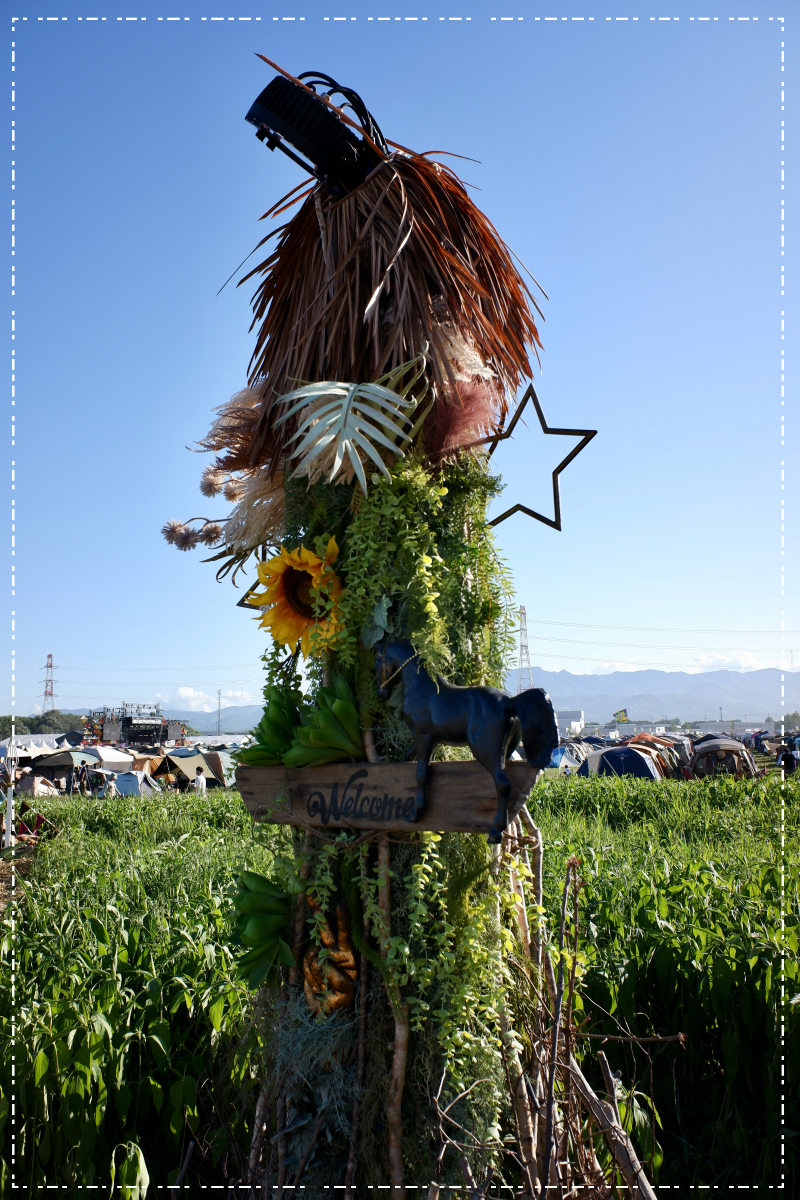 置く場所が無かったので、ここに無理矢理入れるお馬さん