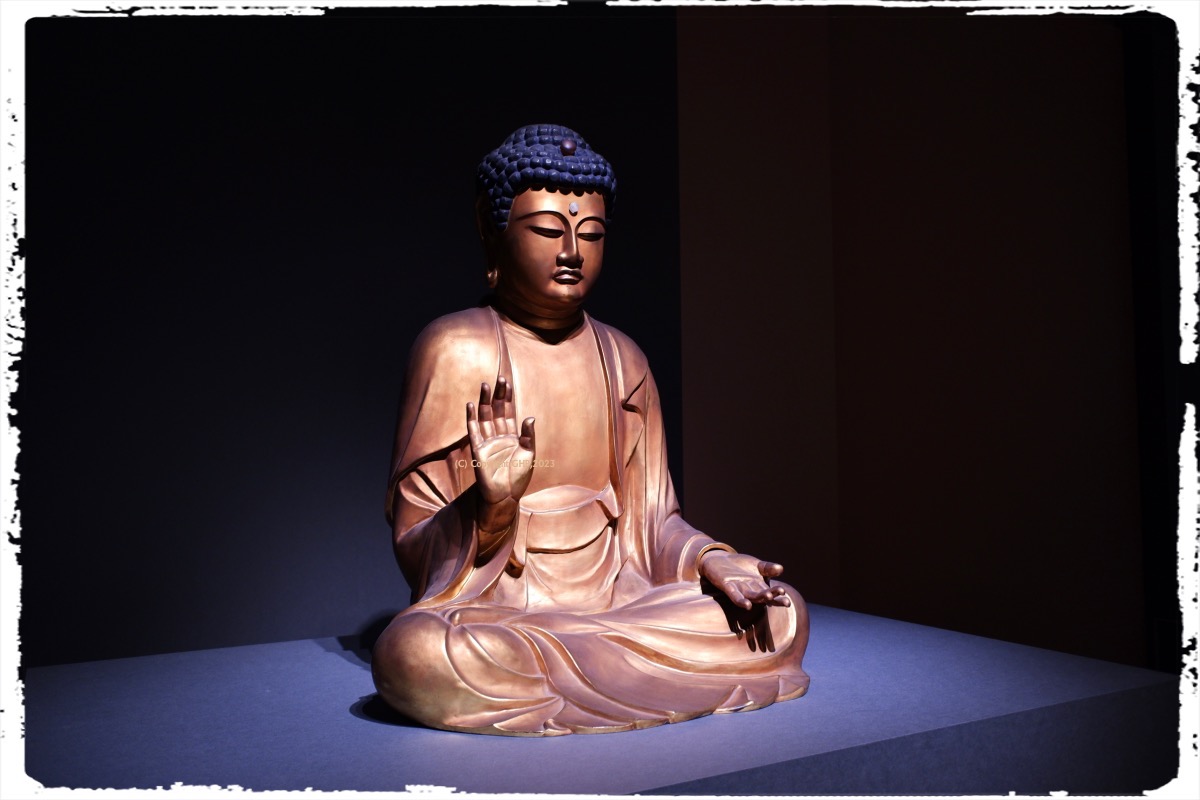 この子だけが生き延びたらしい