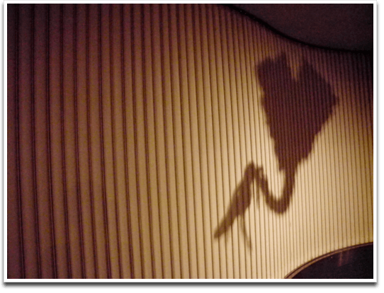 �������ɂ��̎ʐ^�Ȃ璘�쌠�I�ɂ��{���܂�