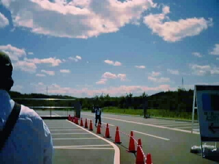 遠くを見ても木しか見えない図