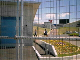 遠目でわからんけどドーベルマンの図