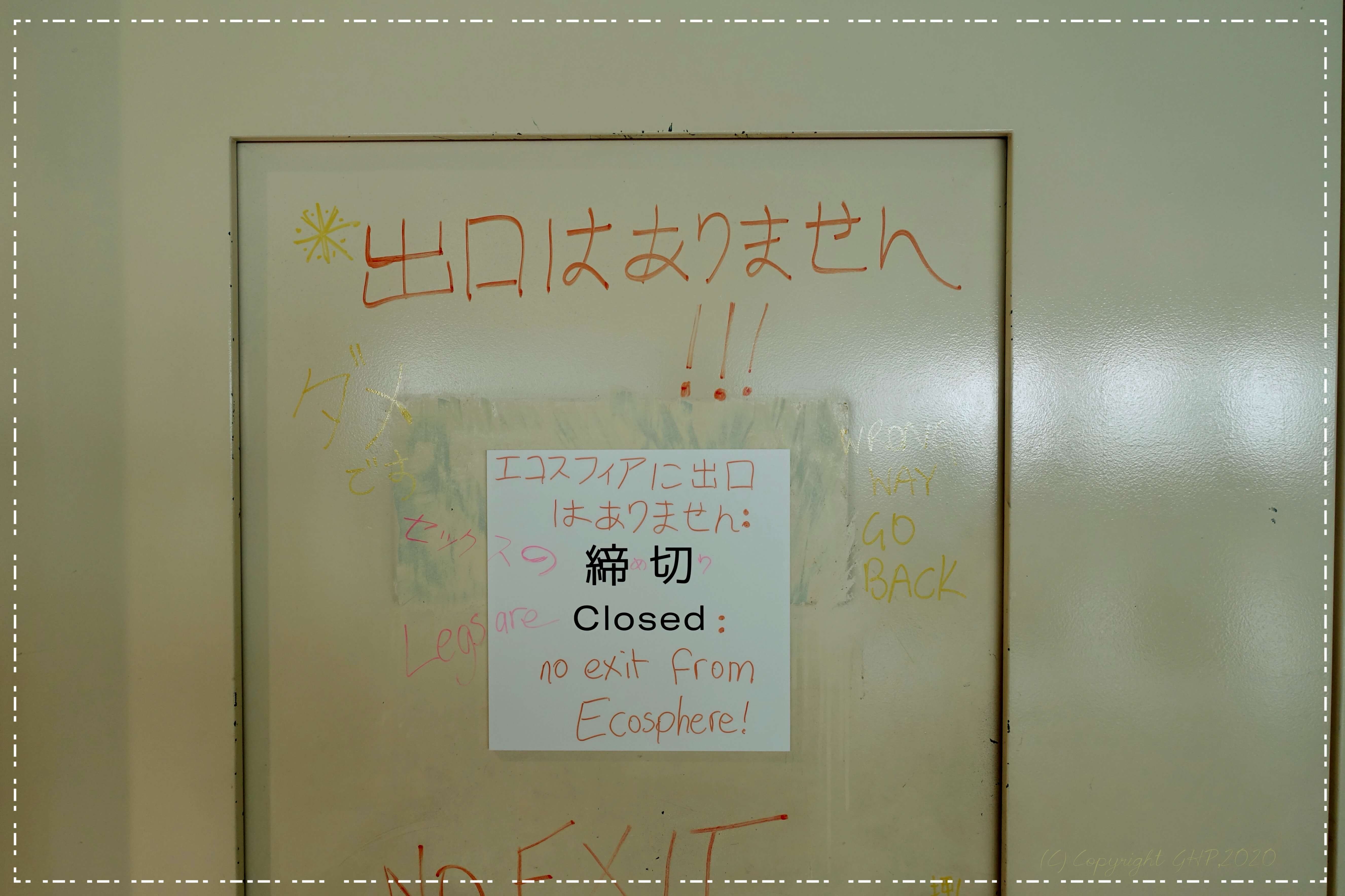 �G�R�X�t�B�A�ɏo���͂���܂���